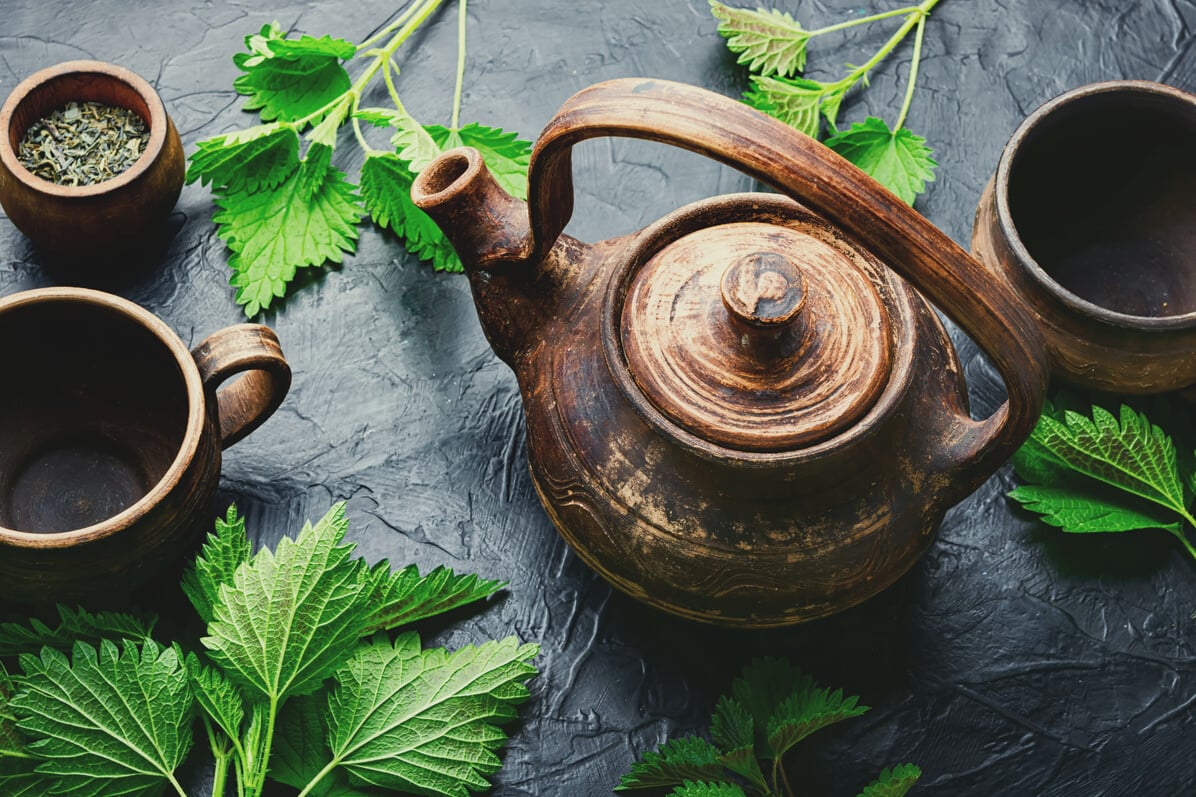 Herbal Tea with Nettle,Stinging Nettle